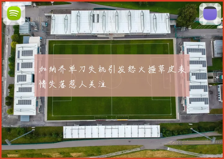 加纳乔单刀失机引发怒火捶草皮表情失落惹人关注