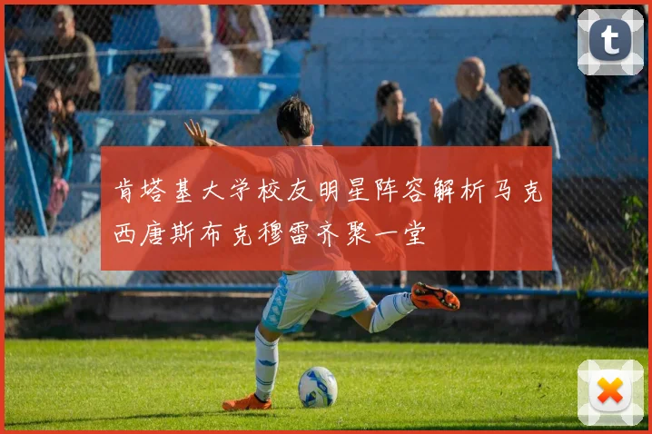 肯塔基大学校友明星阵容解析马克西唐斯布克穆雷齐聚一堂