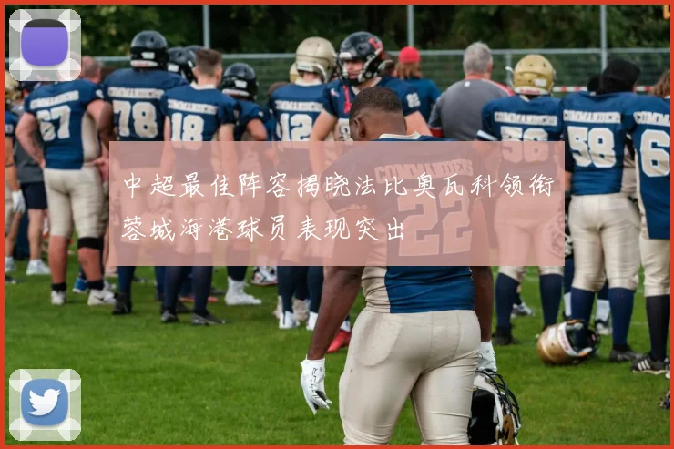 中超最佳阵容揭晓法比奥瓦科领衔蓉城海港球员表现突出