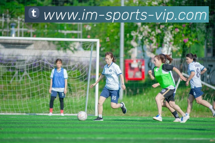 IM体育APP 高清赛事图